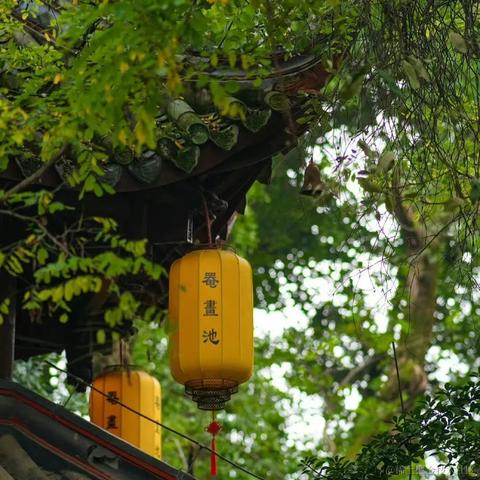 花折亦无情于2022-11-26 21:49发布的图片