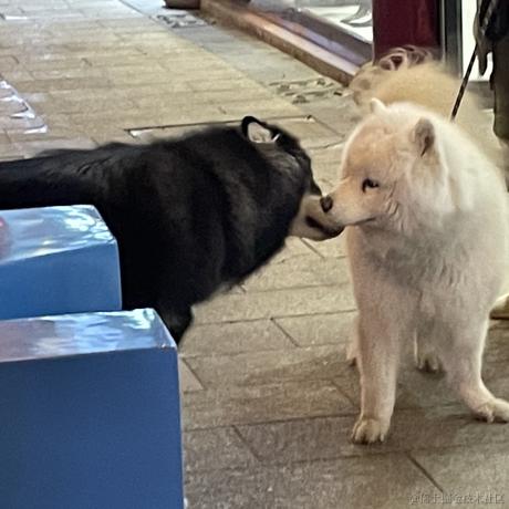 嘉晚饭厨师长于2022-12-05 18:55发布的图片