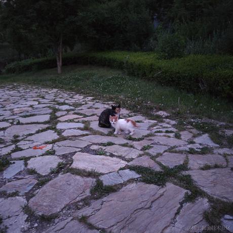 发条陈于2023-06-22 21:13发布的图片