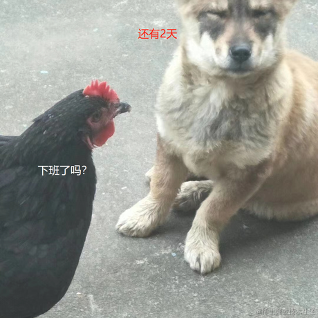 末世未然于2023-01-17 17:50发布的图片