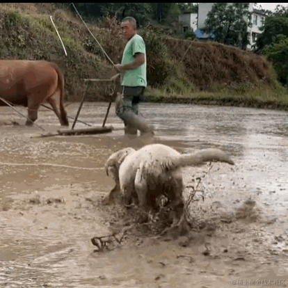 赵侠客于2023-06-04 11:38发布的图片
