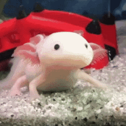 城心想干饭于2023-01-01 07:18发布的图片