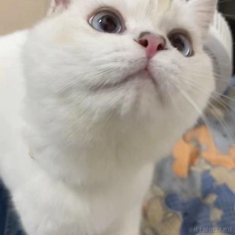 人_间于2022-11-23 11:45发布的图片
