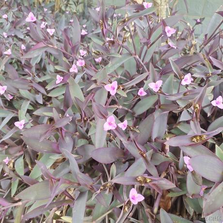 水果篮子于2022-12-06 18:55发布的图片