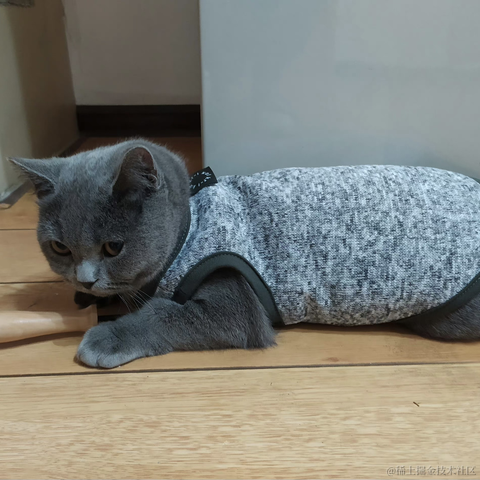 月球背面于2023-05-14 14:45发布的图片