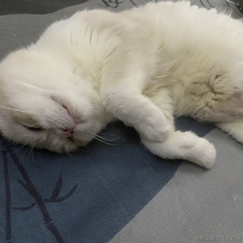 打瞌睡的专家于2022-06-20 22:55发布的图片