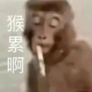 东方掌管牛马的神于2024-01-16 11:01发布的图片