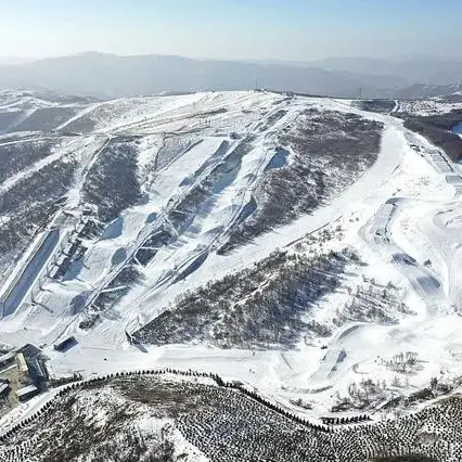 areyouoksuperfast于2023-04-26 10:11发布的图片