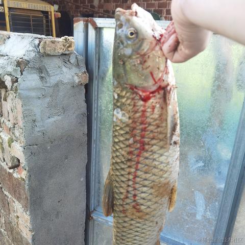 已注销于2022-09-12 20:03发布的图片
