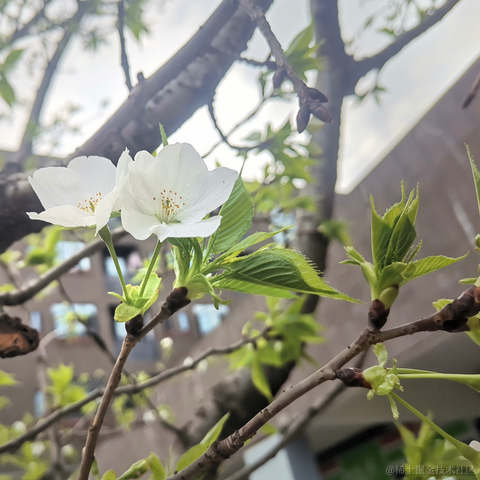 wsq于2023-04-11 20:48发布的图片