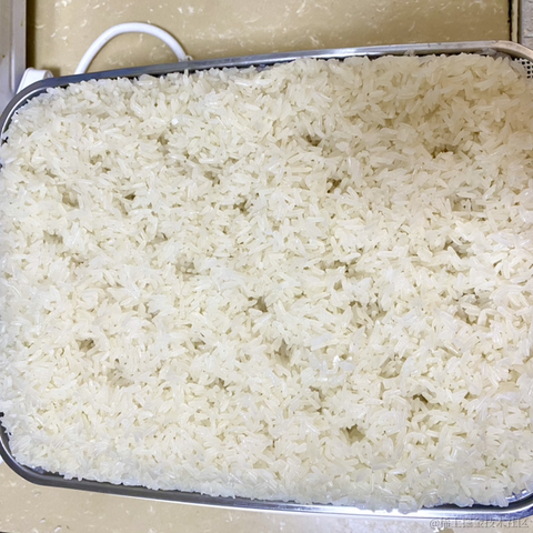 光影童于2024-01-04 12:20发布的图片