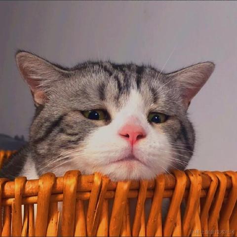 已注销于2021-04-21 09:34发布的图片