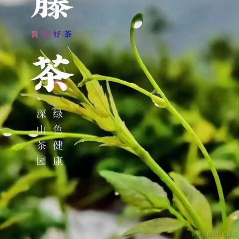 疯狂的小覃同学于2024-05-29 09:06发布的图片