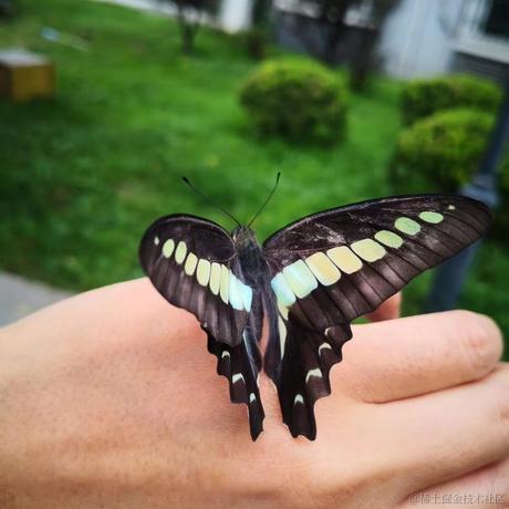 急性子伤我心于2022-11-16 01:21发布的图片