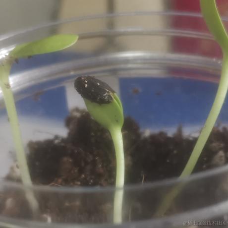 126个倾于2023-06-24 12:19发布的图片