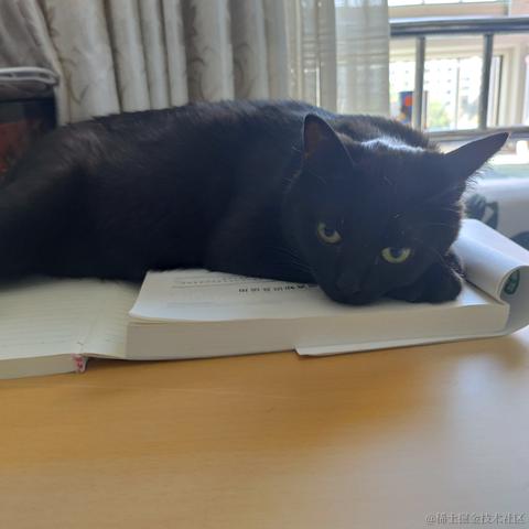 忆夕晖于2021-12-31 16:38发布的图片