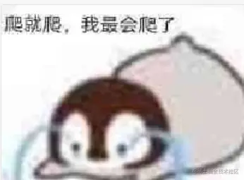 使用Python(爬虫)自动下载图片｜Python主题月
