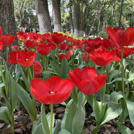 找不到我找不到我于2022-04-12 21:01发布的图片