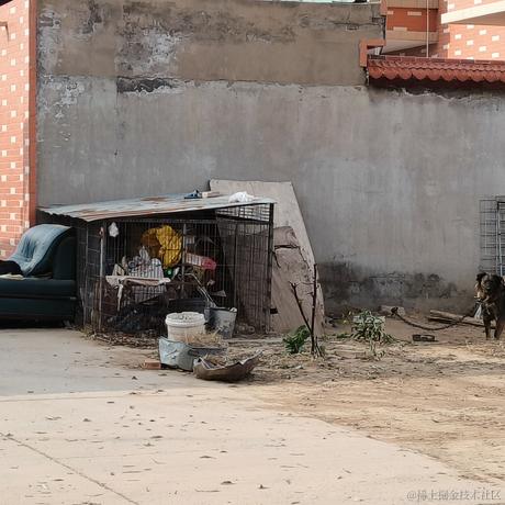 小向晚才不小于2022-11-13 18:47发布的图片