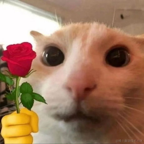 多喝热水o_O于2023-09-05 08:01发布的图片