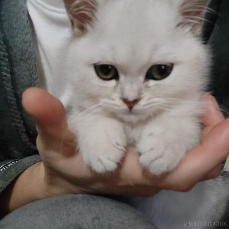 Henry1997于2022-12-14 14:35发布的图片