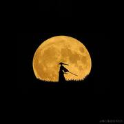 前端小澳的个人资料头像