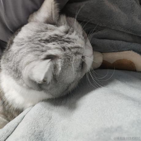 我要跟晚晚结婚于2022-12-24 20:10发布的图片