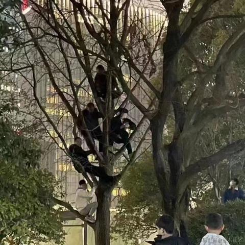 南方者于2023-02-05 22:39发布的图片