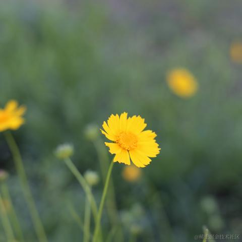 tangdou369098655于2022-05-25 15:11发布的图片