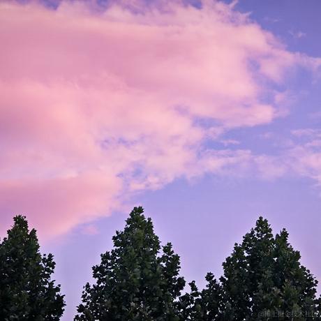 清欢N于2023-05-13 10:18发布的图片