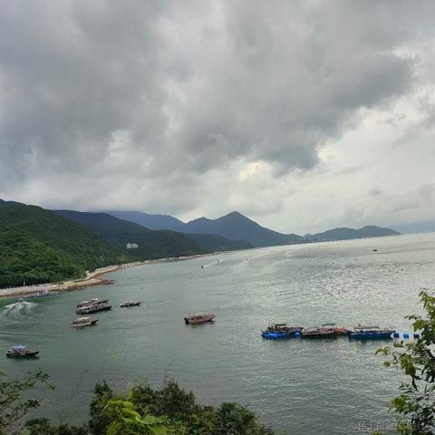 爱球球于2024-06-11 23:58发布的图片