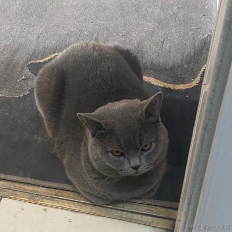 库洛米于2022-11-23 20:04发布的图片