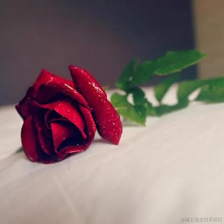 Sarah_于2023-12-01 11:36发布的图片
