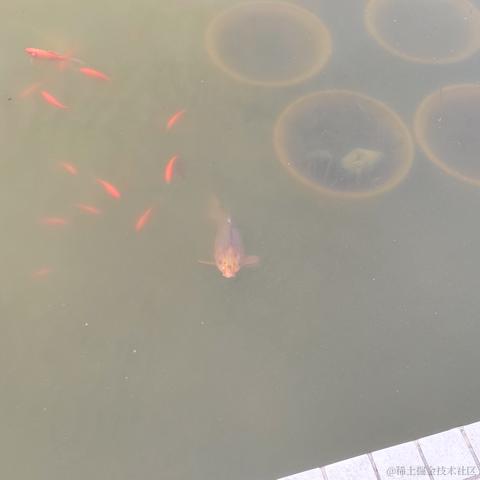 zhL于2022-11-26 22:05发布的图片