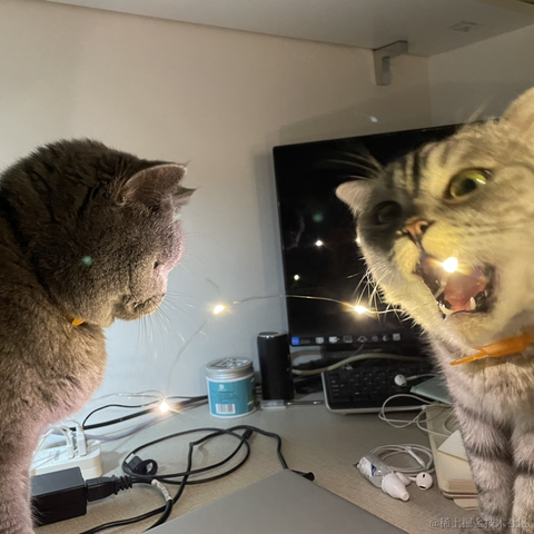 StupidCat_W于2022-09-23 16:19发布的图片