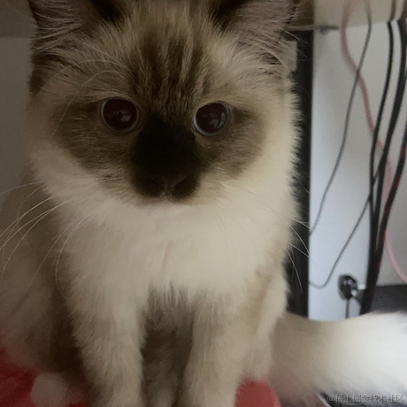 3U小吴于2022-02-21 21:23发布的图片