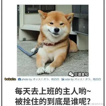 LTAND于2023-04-21 23:10发布的图片