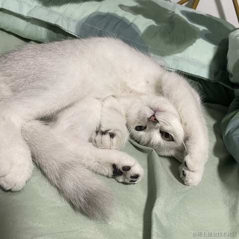 旋律丶于2022-10-20 15:11发布的图片