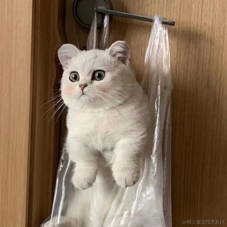 嘉晚饭超好吃于2022-11-20 11:16发布的图片