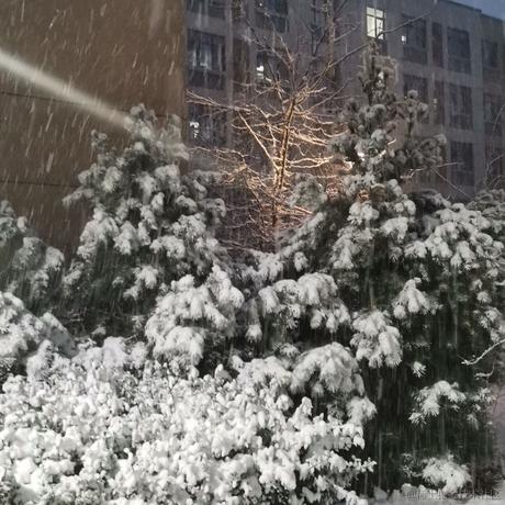 军霞于2022-03-18 21:01发布的图片