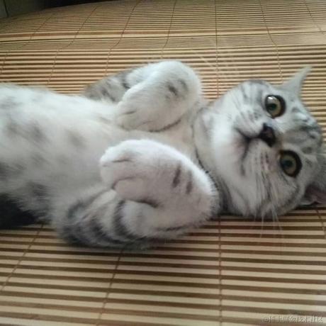 树洞robot于2022-05-09 14:49发布的图片