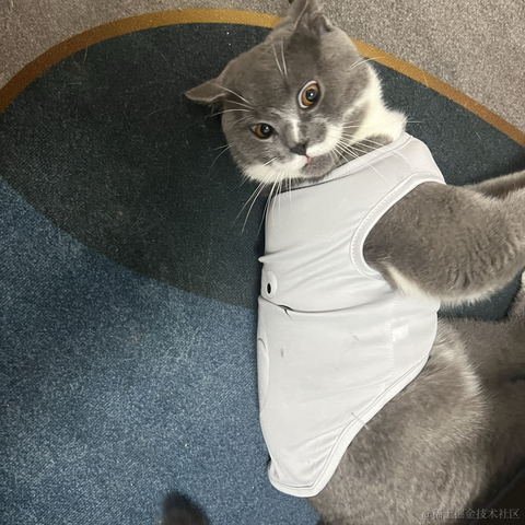 好雨知时节3于2023-06-03 13:16发布的图片