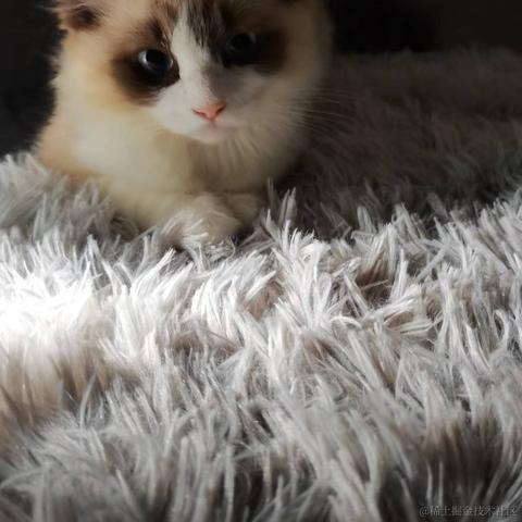 efls于2022-04-24 13:52发布的图片