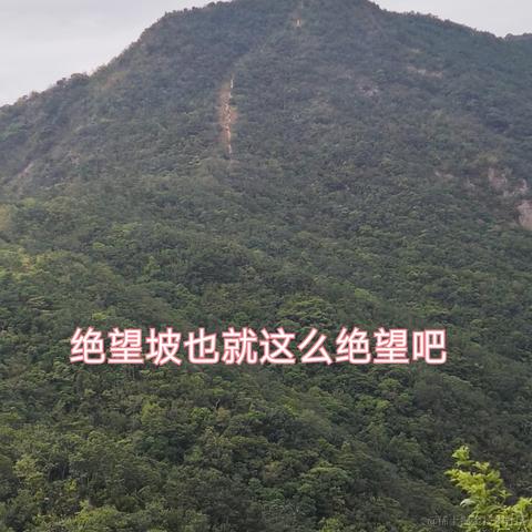 脆弱杨桃干于2022-11-15 23:28发布的图片