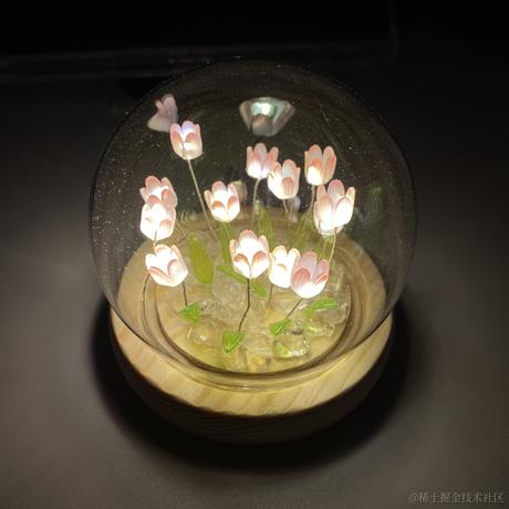 Hermione_log于2023-11-21 10:15发布的图片