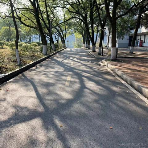 谁来买我的火柴于2023-08-03 17:05发布的图片