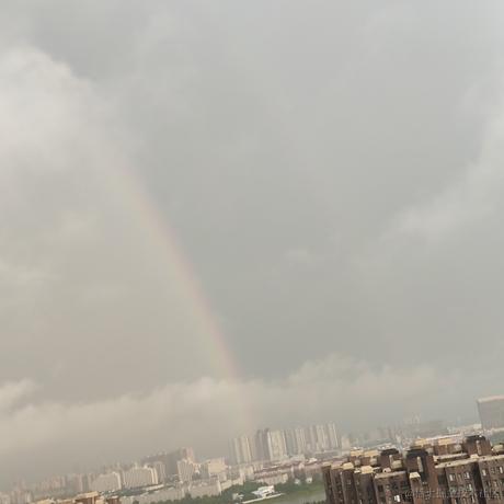 xier于2023-07-19 18:54发布的图片