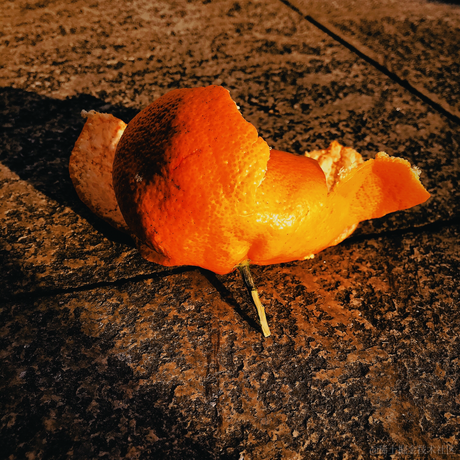 红毛丹于2021-12-08 12:55发布的图片