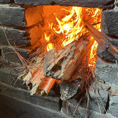 tree_于2023-01-18 16:14发布的图片