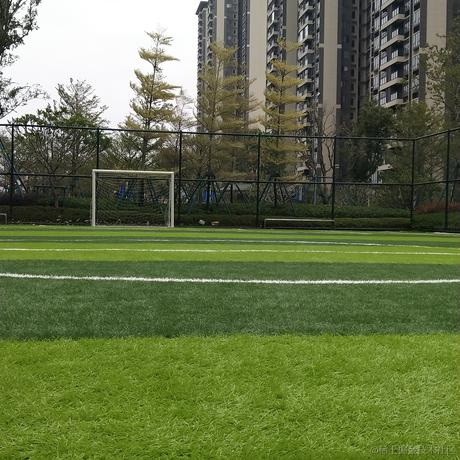 专业填坑户于2022-12-17 11:32发布的图片